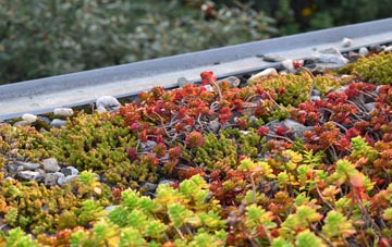 the cost of Johnstonebridge green roof installation