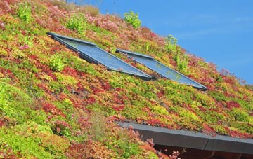 Johnstonebridge living roof systems