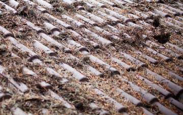 Johnstonebridge roof cleaning companies