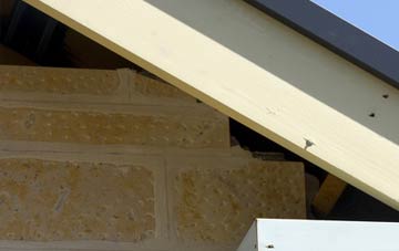 soffit repair Johnstonebridge